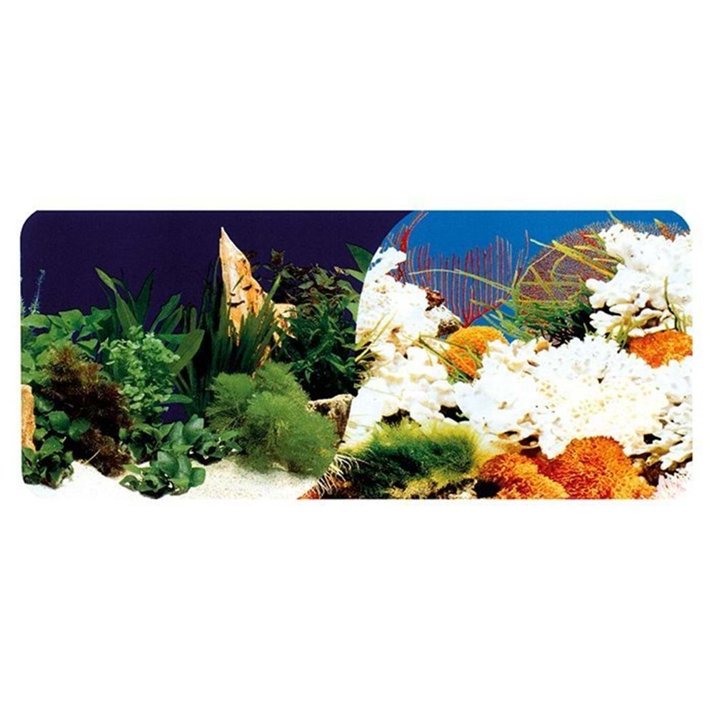 Yıldırım Pet Poster 30 cm - 15 m