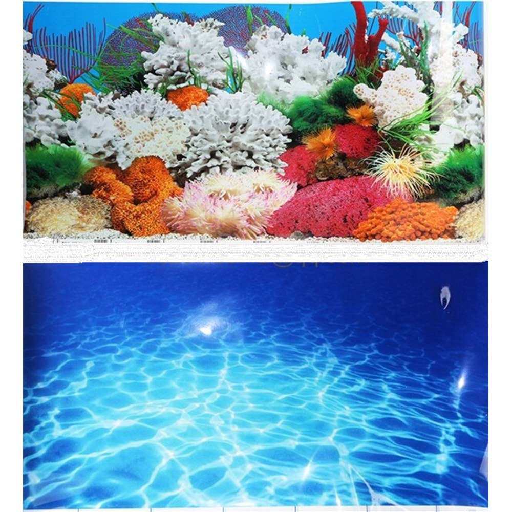 Yıldırım Pet Poster 50 cm - 15 m