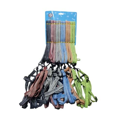 BRC-66 Gezdirme Takım Tasma 1.5cm*120cm