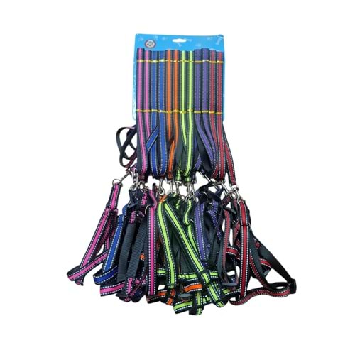 BRC-70 Gezdirme Takım Tasma 1.5cm*120cm