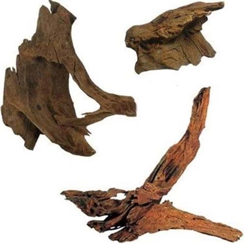 MA-01 Mangrow Kökü Kg