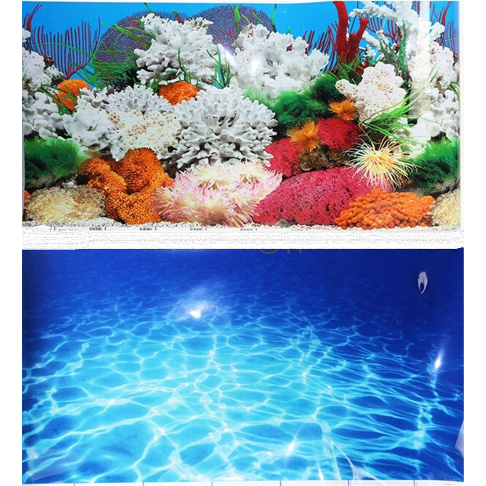 Yıldırım Pet Poster 30 cm - 15 m