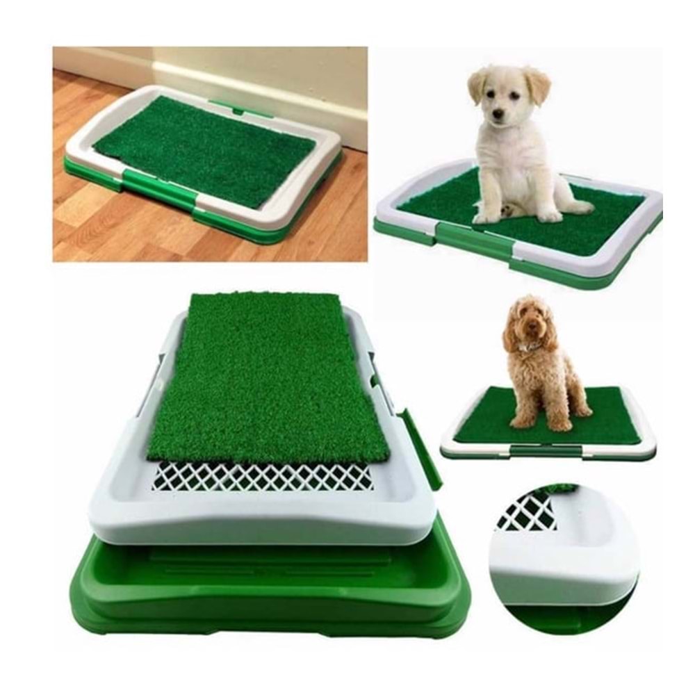 CWCS058 Köpekler İçin Çim Eğitim Seti